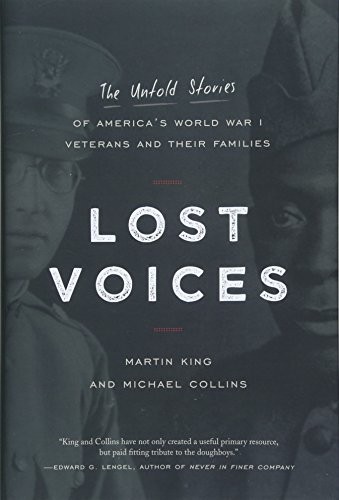Cover for Lost Voices