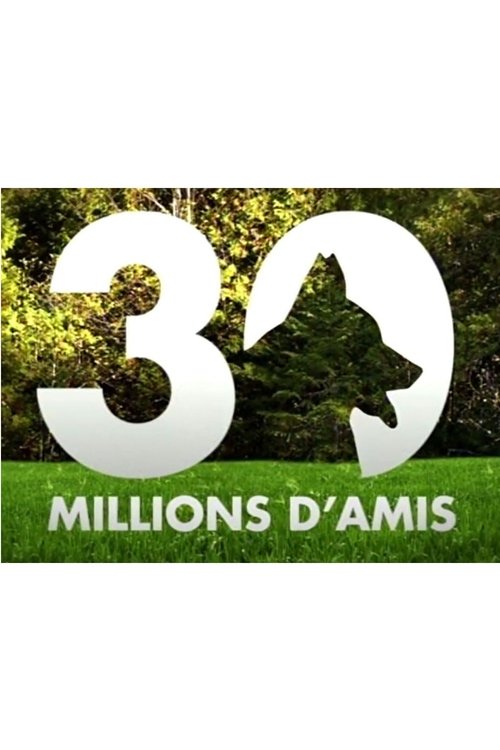 Poster for 30 Millions D'amis