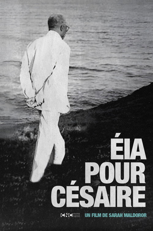 Poster for Papa Césaire
